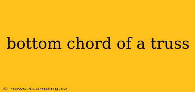 bottom chord of a truss