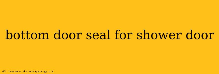 bottom door seal for shower door
