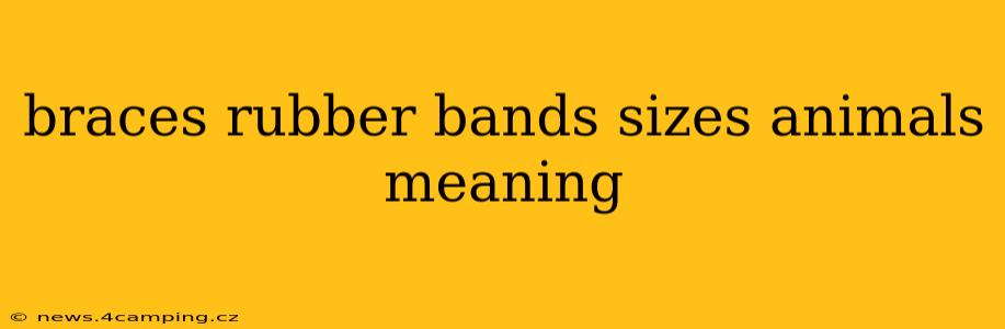 braces rubber bands sizes animals meaning