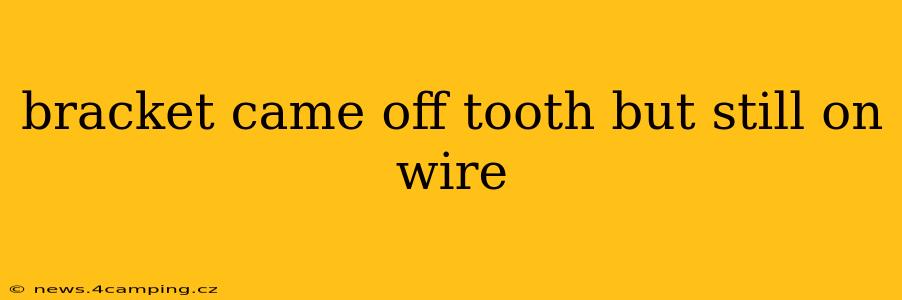 bracket came off tooth but still on wire