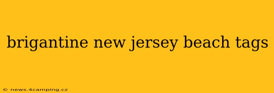 brigantine new jersey beach tags