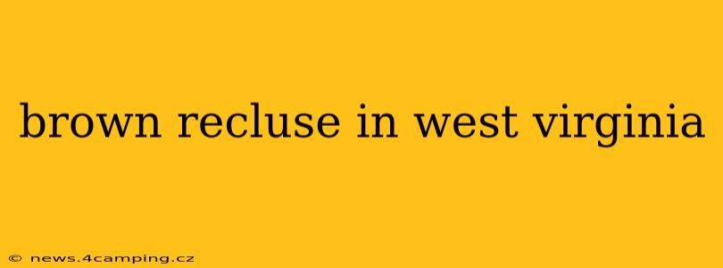 brown recluse in west virginia
