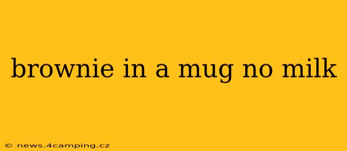 brownie in a mug no milk