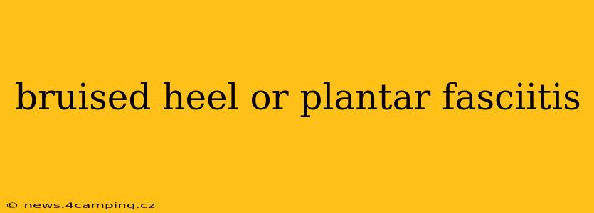 bruised heel or plantar fasciitis