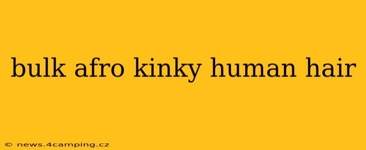 bulk afro kinky human hair