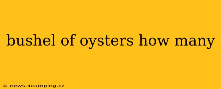 bushel of oysters how many
