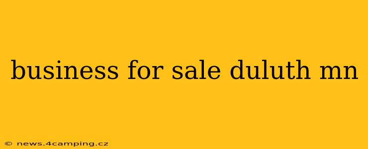 business for sale duluth mn