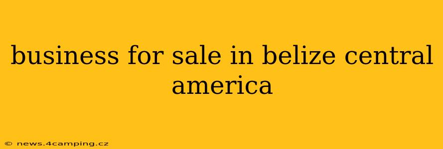business for sale in belize central america