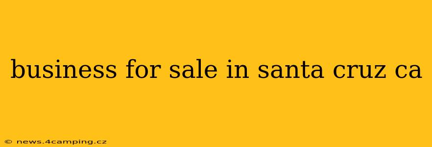 business for sale in santa cruz ca