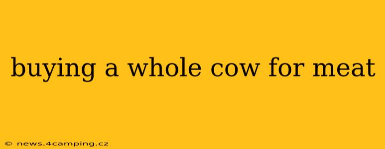 buying a whole cow for meat