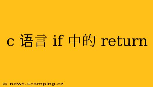c 语言 if 中的 return