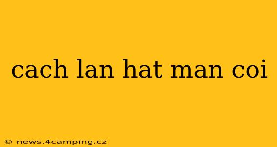 cach lan hat man coi