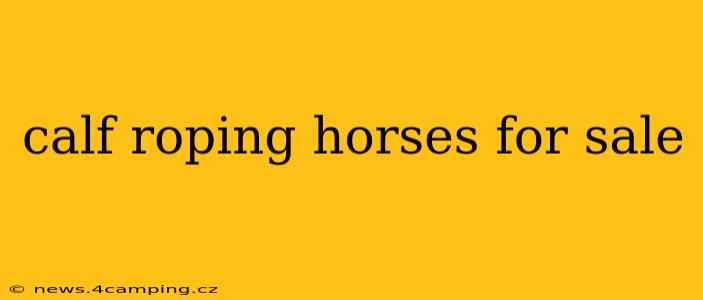 calf roping horses for sale