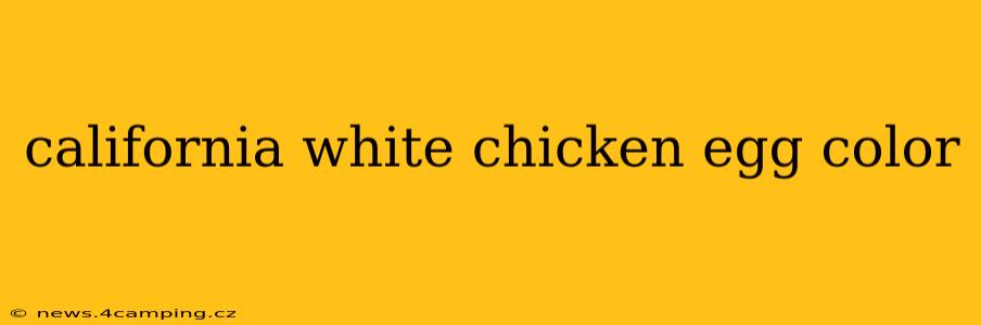 california white chicken egg color