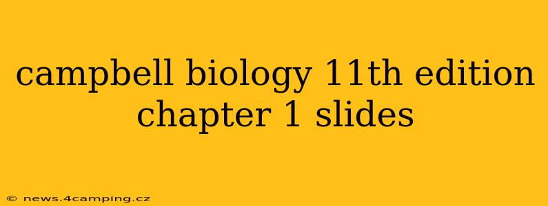 campbell biology 11th edition chapter 1 slides