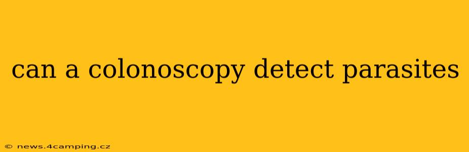 can a colonoscopy detect parasites
