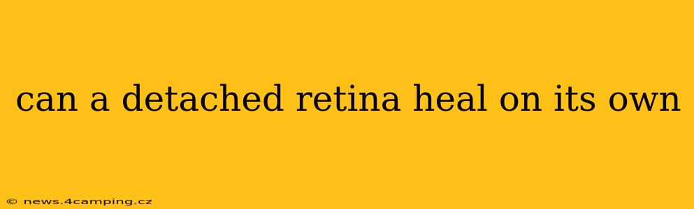 can a detached retina heal on its own