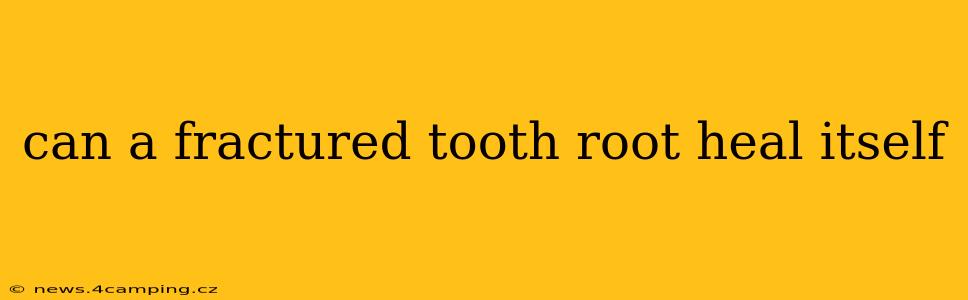 can a fractured tooth root heal itself