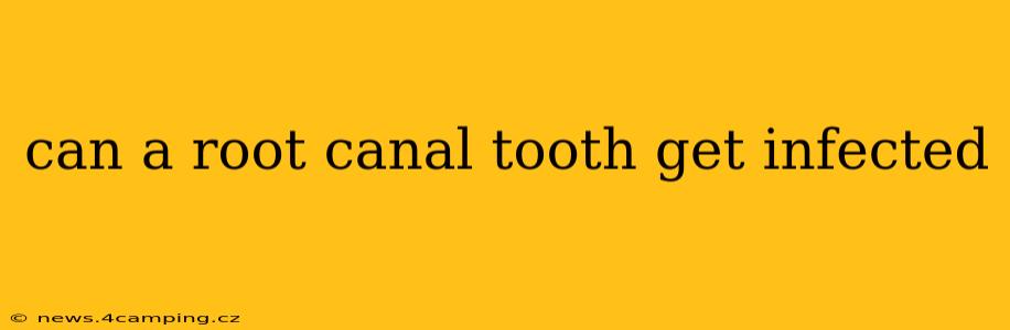 can a root canal tooth get infected