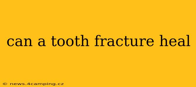 can a tooth fracture heal