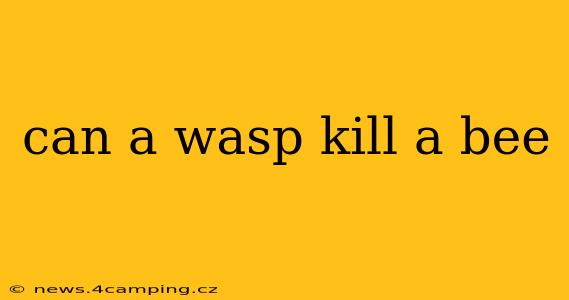 can a wasp kill a bee