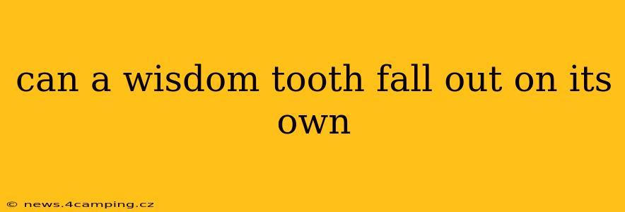 can a wisdom tooth fall out on its own