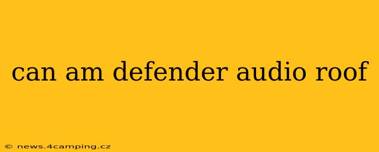 can am defender audio roof