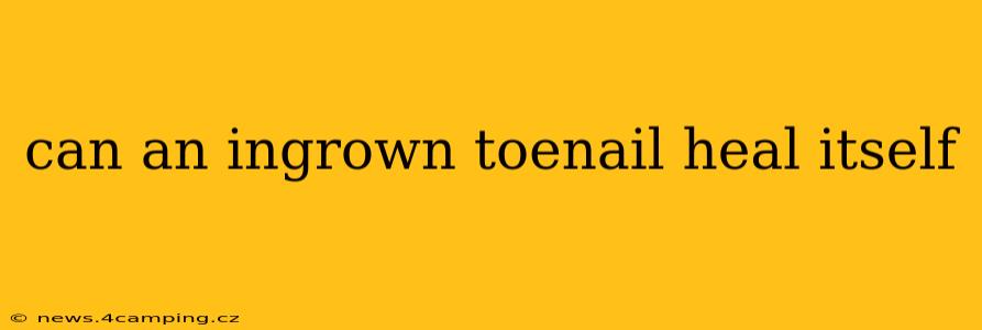 can an ingrown toenail heal itself