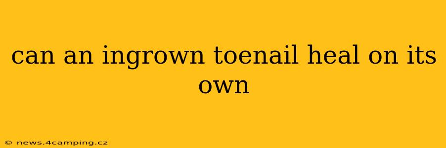 can an ingrown toenail heal on its own