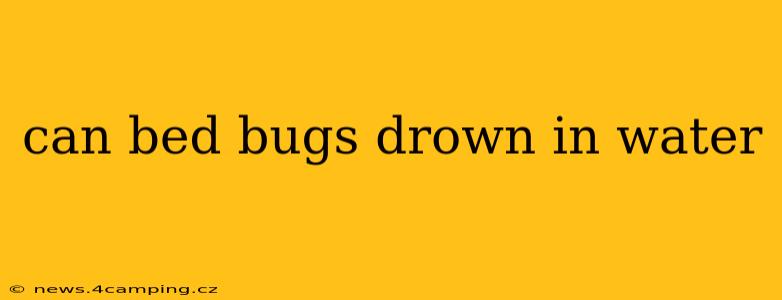 can bed bugs drown in water