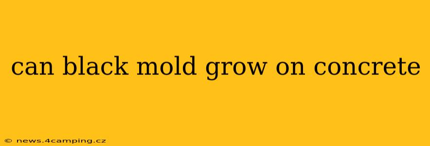 can black mold grow on concrete