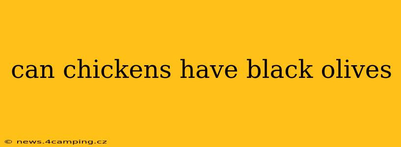can chickens have black olives