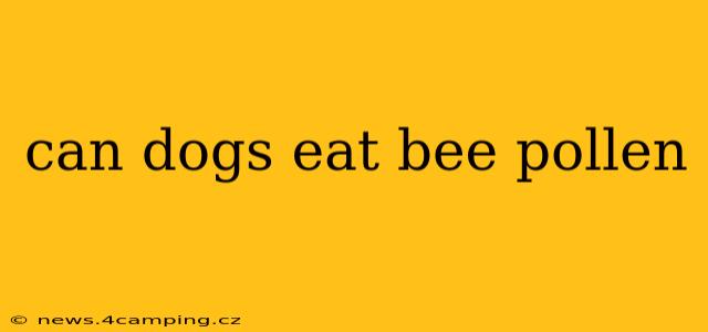 can dogs eat bee pollen