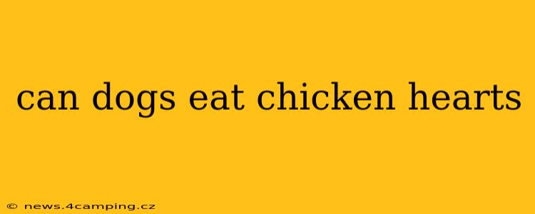 can dogs eat chicken hearts