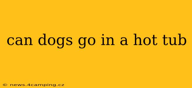can dogs go in a hot tub