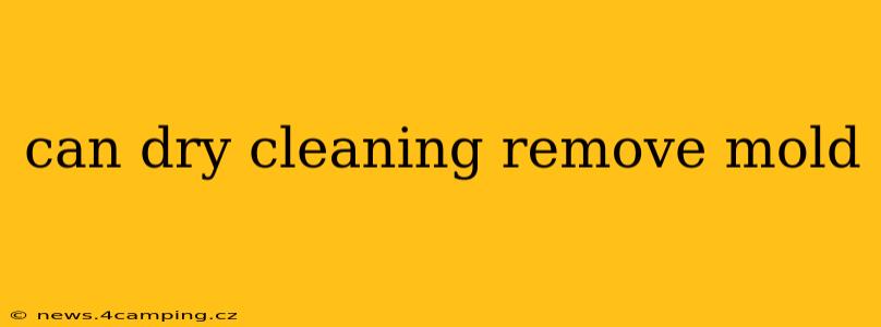 can dry cleaning remove mold