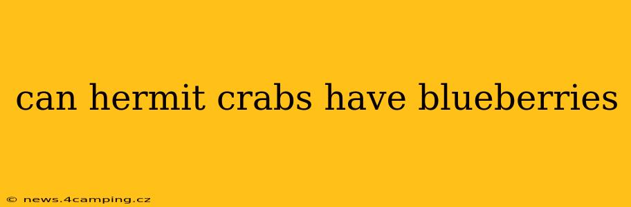 can hermit crabs have blueberries
