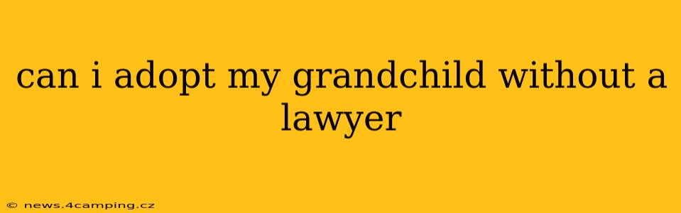can i adopt my grandchild without a lawyer