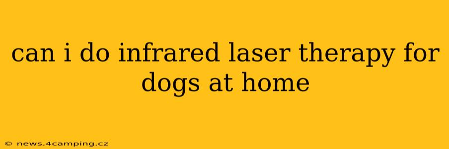 can i do infrared laser therapy for dogs at home