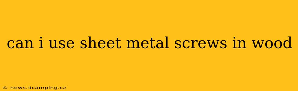 can i use sheet metal screws in wood
