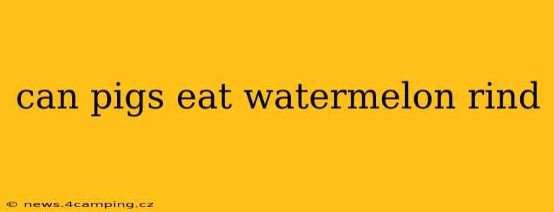 can pigs eat watermelon rind