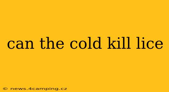 can the cold kill lice