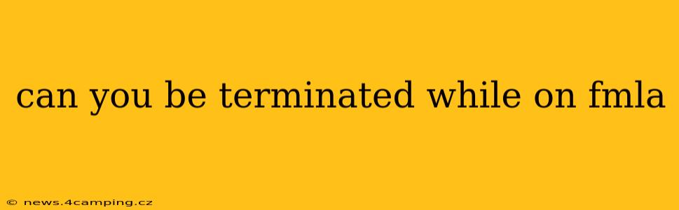 can you be terminated while on fmla