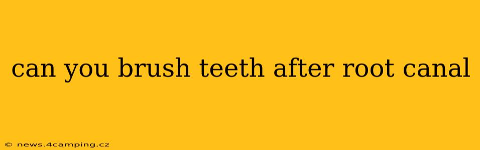 can you brush teeth after root canal