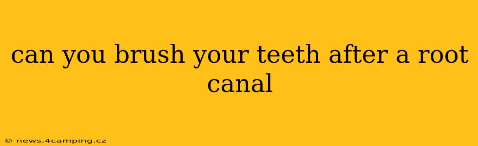 can you brush your teeth after a root canal