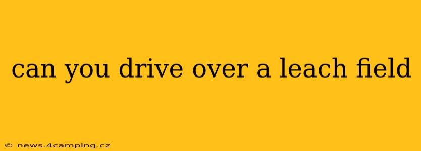 can you drive over a leach field