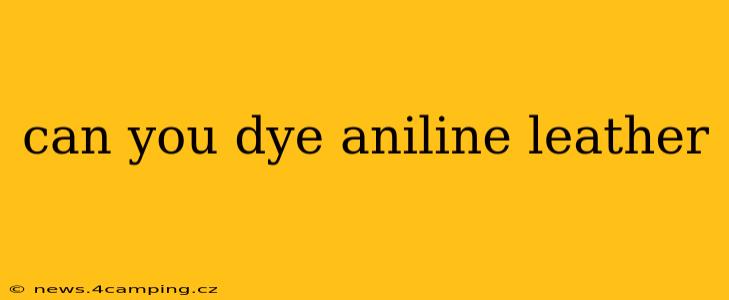 can you dye aniline leather