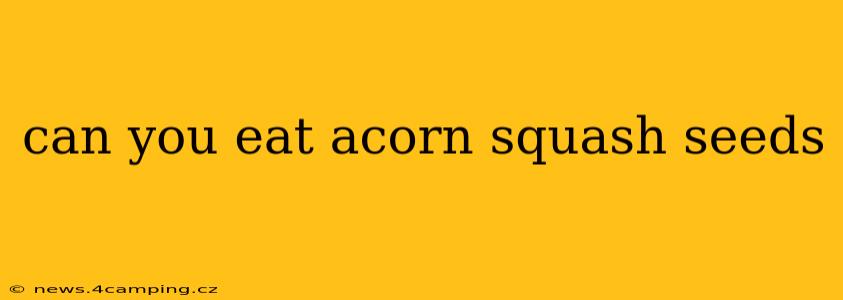 can you eat acorn squash seeds