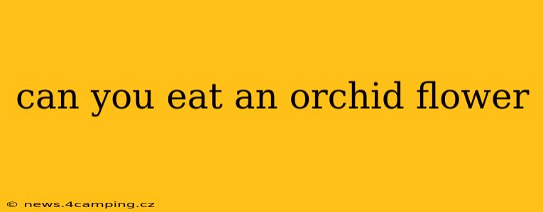 can you eat an orchid flower