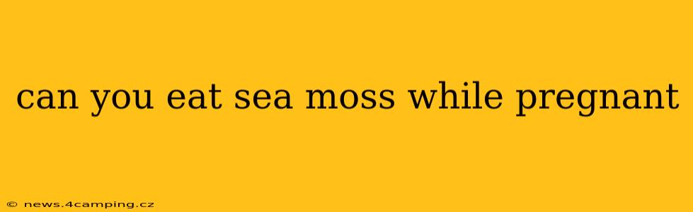 can you eat sea moss while pregnant
